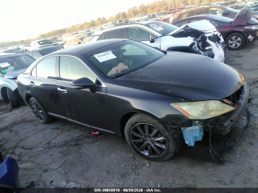 2010 LEXUS ES 350