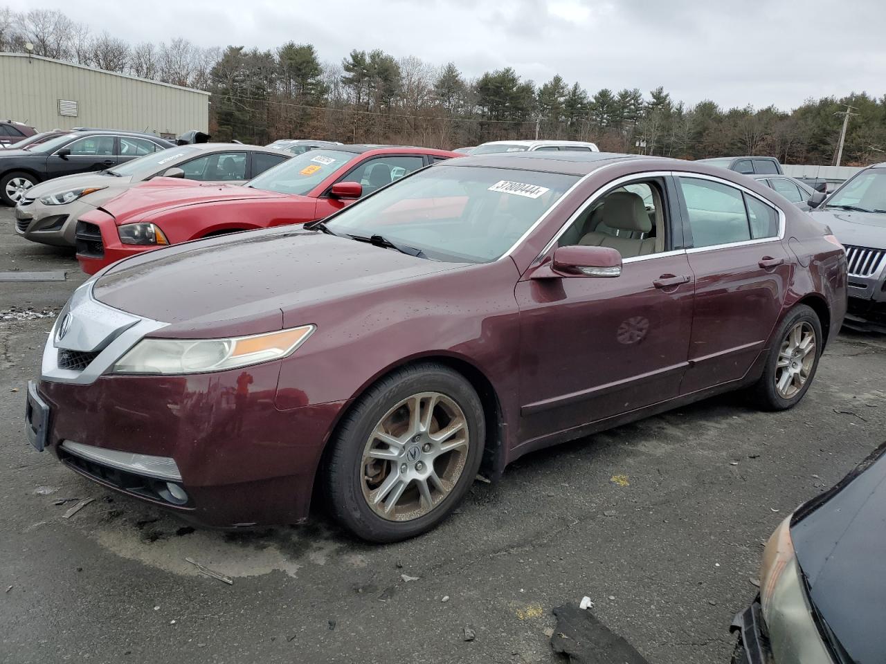 2011 ACURA TL