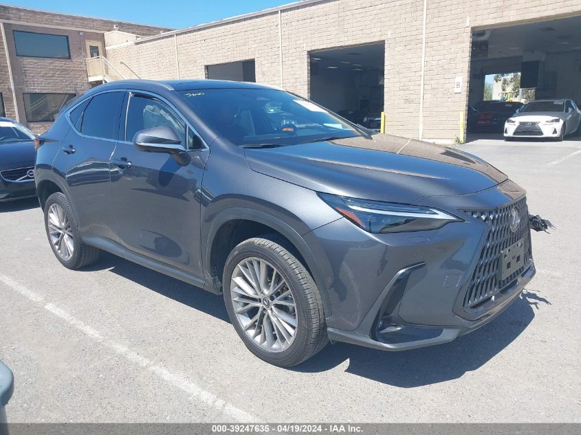 2024 LEXUS NX 350H LUXURY