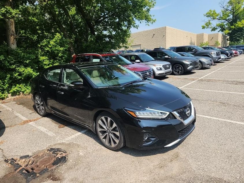 2023 NISSAN MAXIMA PLATINUM