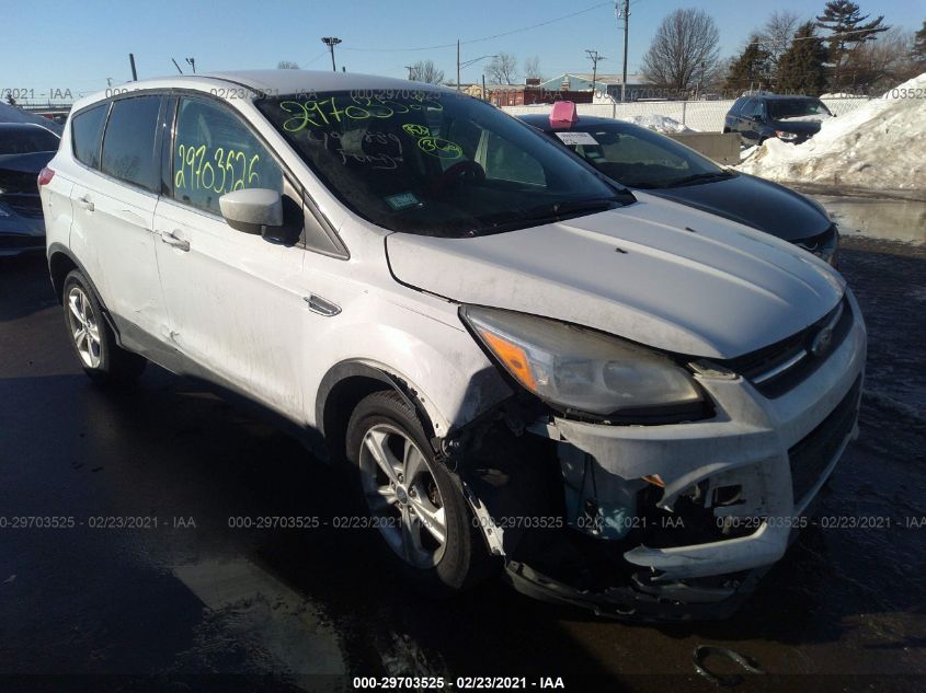 2013 FORD ESCAPE SE