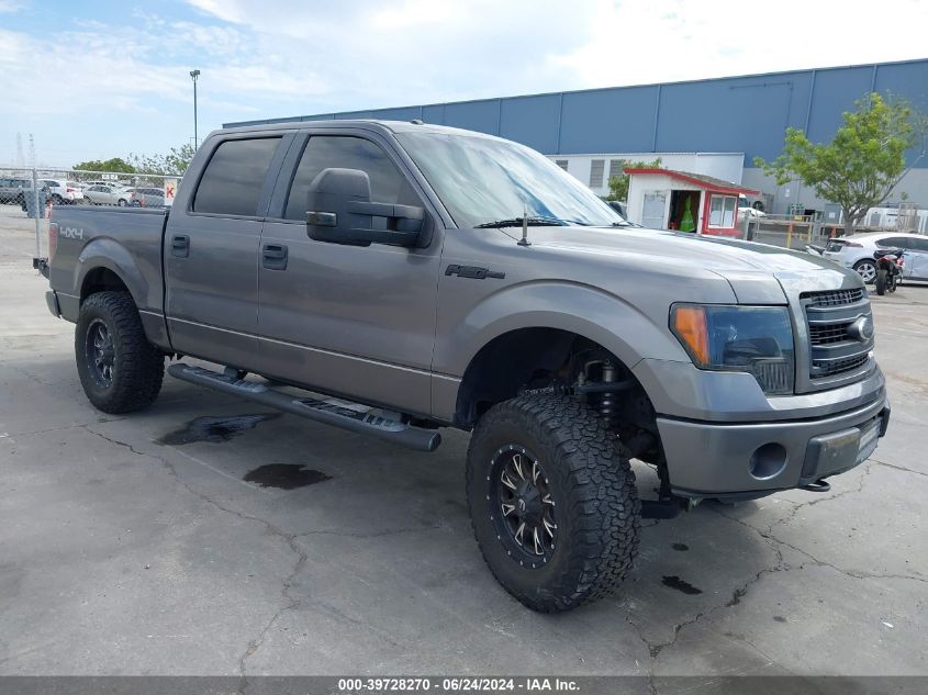 2010 FORD F-150 XL/XLT