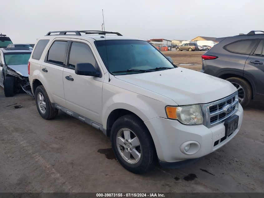 2010 FORD ESCAPE XLT