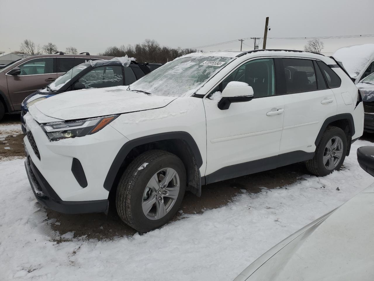 2023 TOYOTA RAV4 XLE