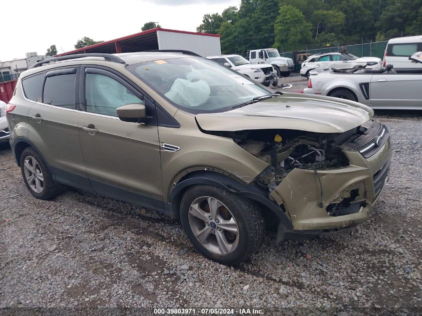 2013 FORD ESCAPE SE