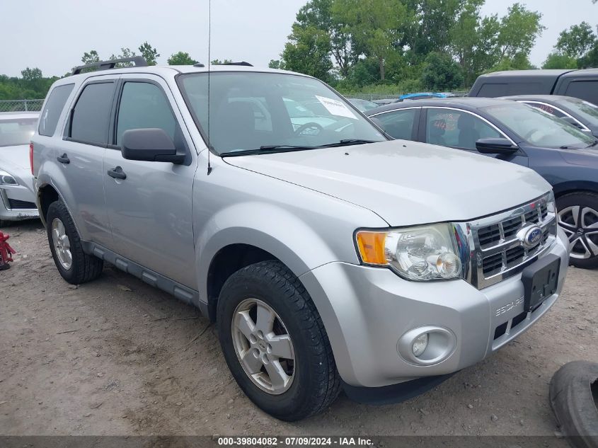 2010 FORD ESCAPE XLT