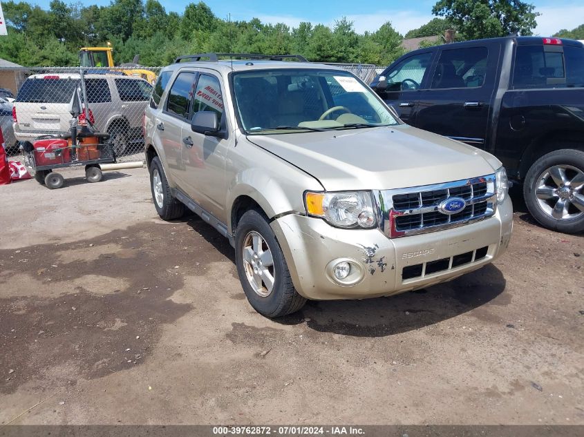 2011 FORD ESCAPE XLT