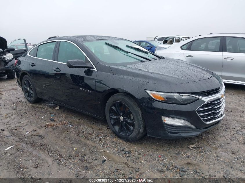 2019 CHEVROLET MALIBU LT