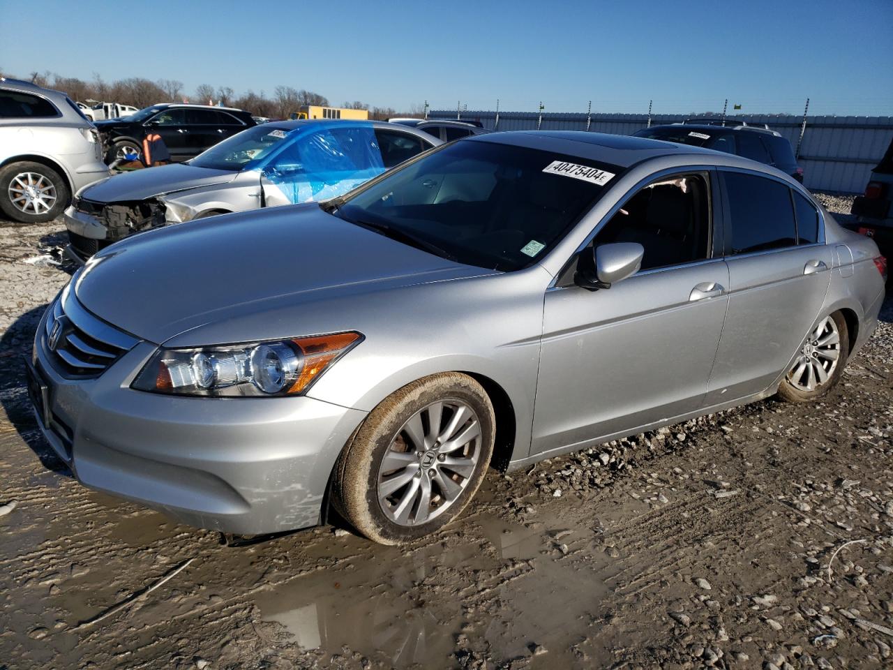 2011 HONDA ACCORD EXL