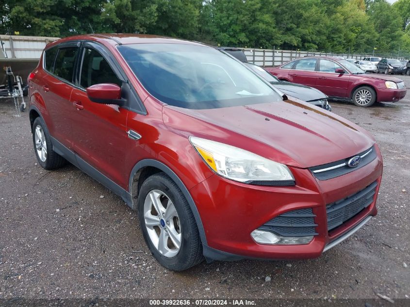 2014 FORD ESCAPE SE