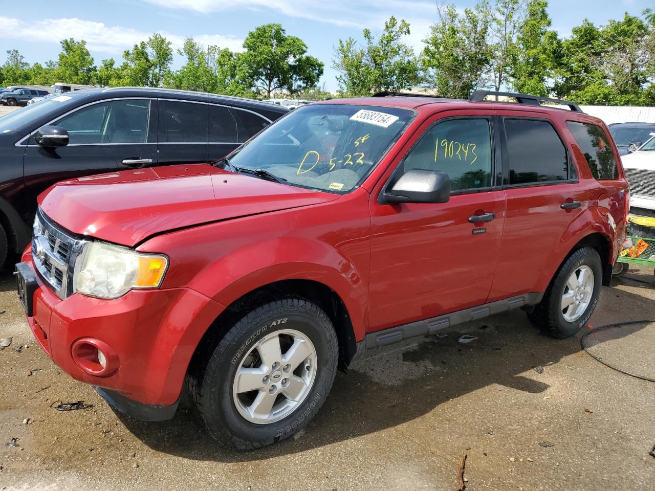 2011 FORD ESCAPE XLT