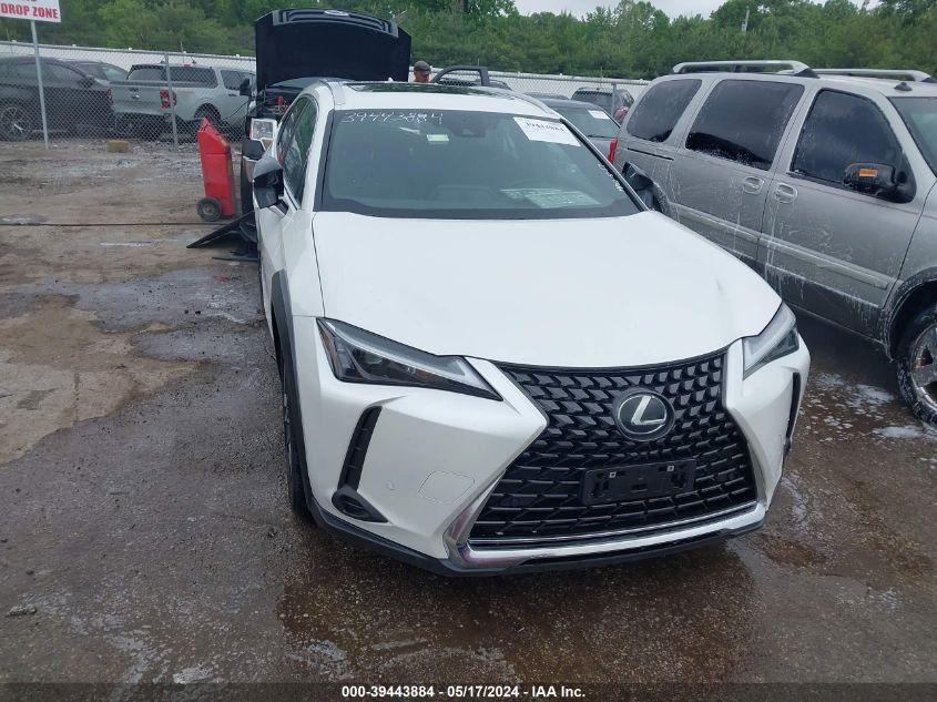 2024 LEXUS UX 250H