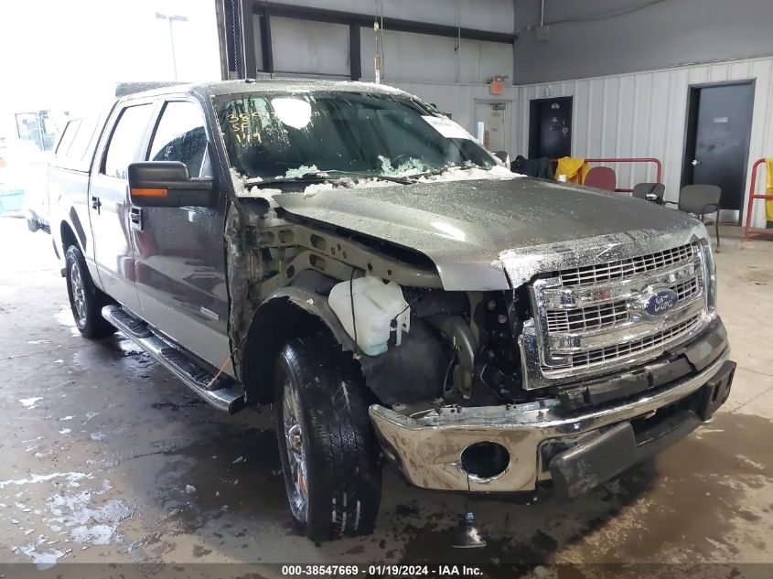 2014 FORD F-150 XLT