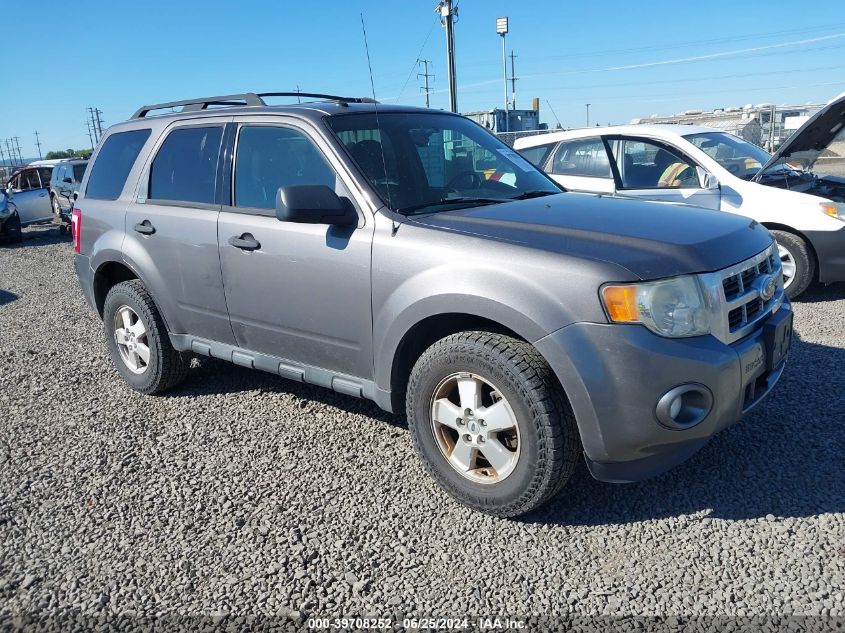 2012 FORD ESCAPE XLT