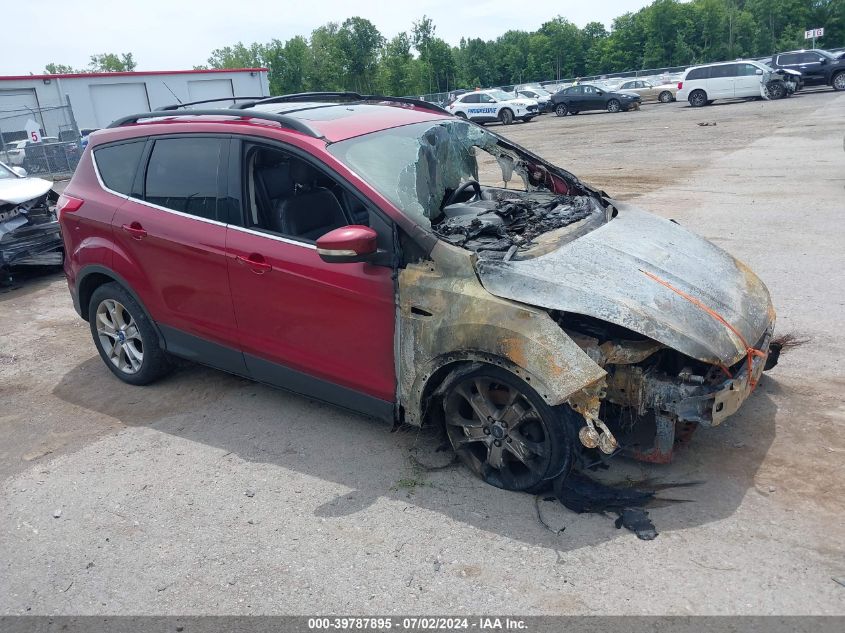 2013 FORD ESCAPE SEL