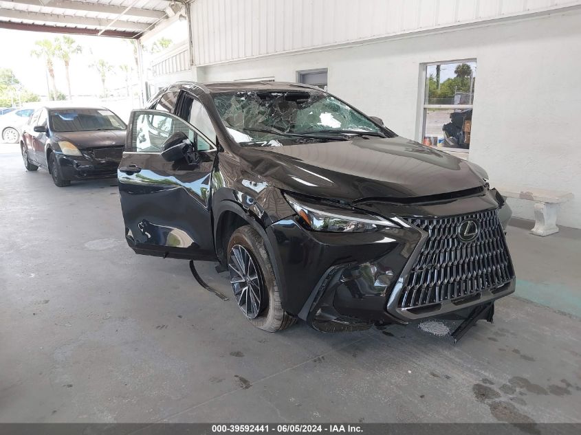 2024 LEXUS NX 250