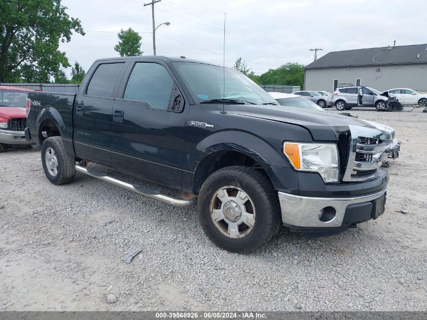 2013 FORD F-150 XLT