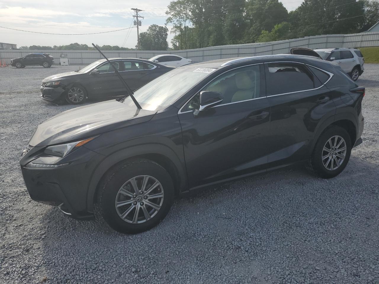 2019 LEXUS NX 300 BASE