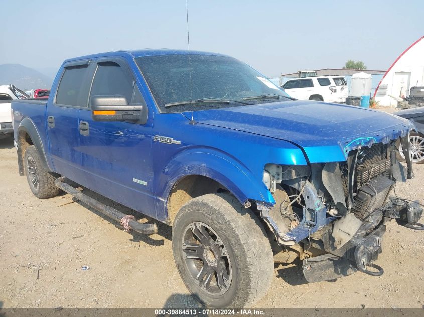 2014 FORD F-150 XLT