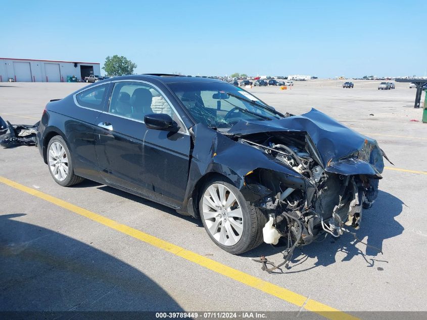 2010 HONDA ACCORD EXL