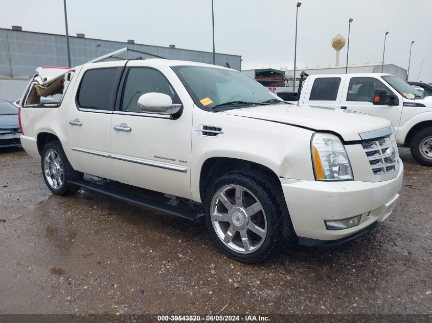 2010 CADILLAC ESCALADE ESV PREMIUM