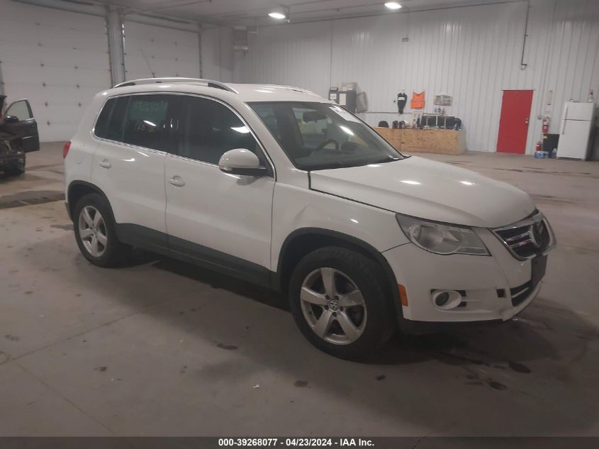 2010 VOLKSWAGEN TIGUAN WOLFSBURG EDITION