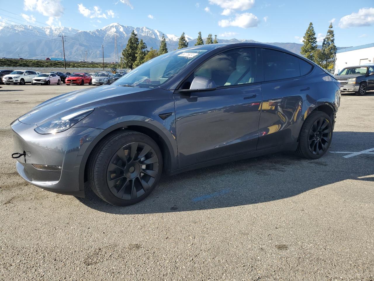 2023 TESLA MODEL Y