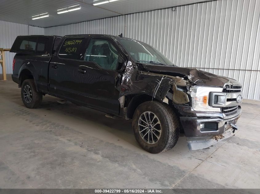 2019 FORD F-150 XLT