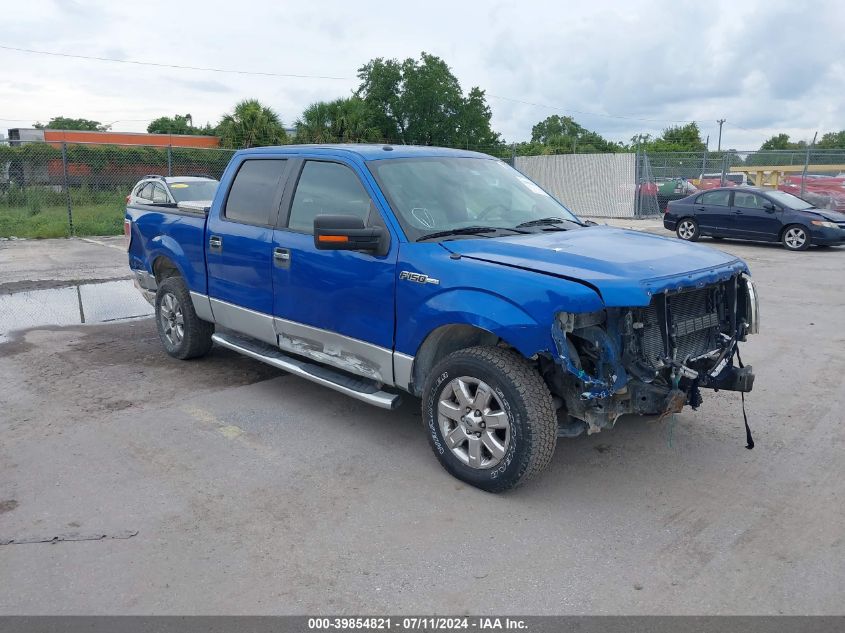 2014 FORD F-150 XLT