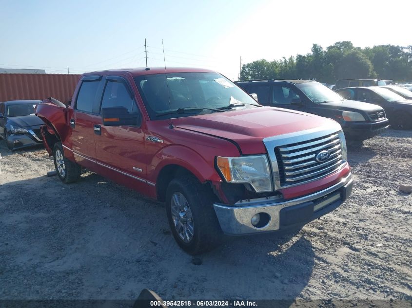 2011 FORD F-150 XLT