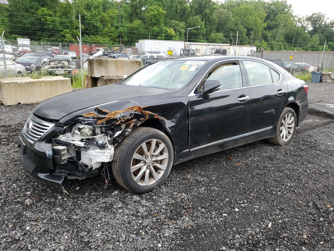 2010 LEXUS LS 460