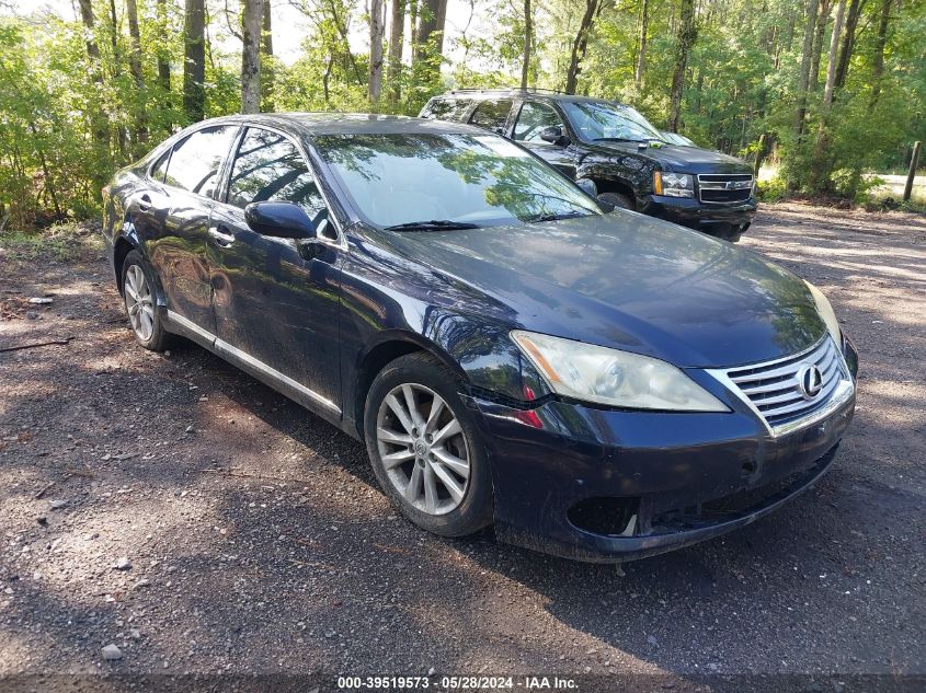 2010 LEXUS ES 350