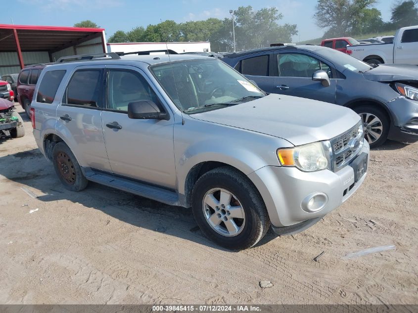 2010 FORD ESCAPE XLT