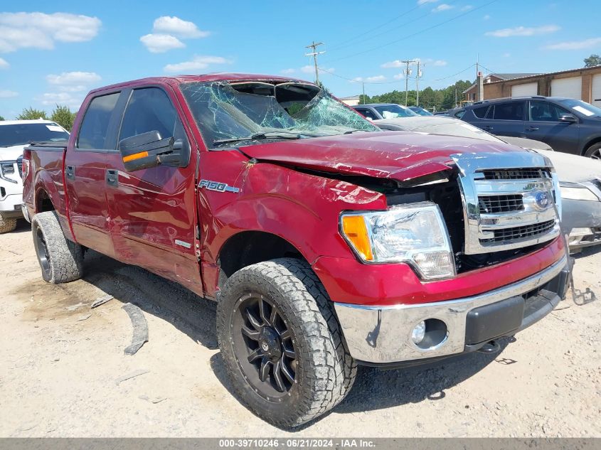 2013 FORD F-150 XLT