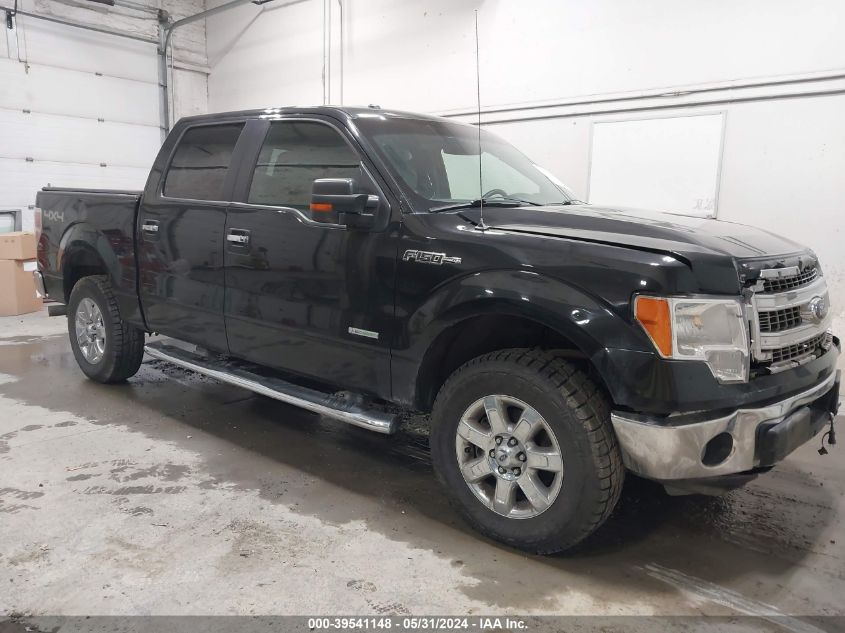 2014 FORD F-150 XLT