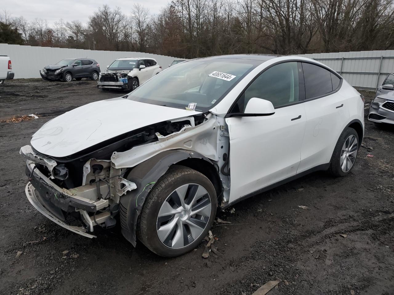 2021 TESLA MODEL Y