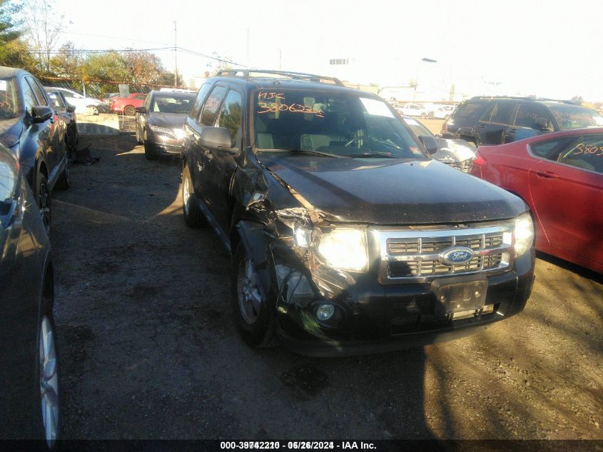 2011 FORD ESCAPE XLT