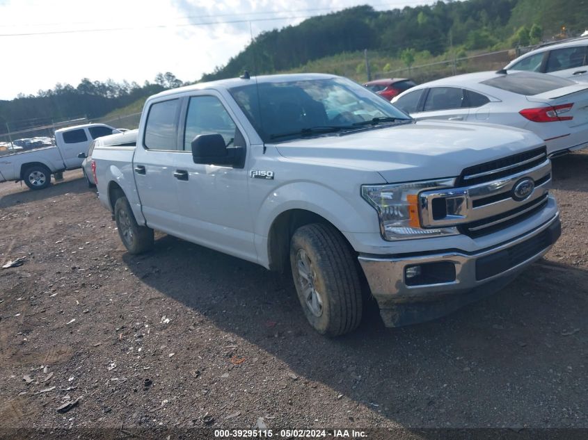 2019 FORD F-150 XLT