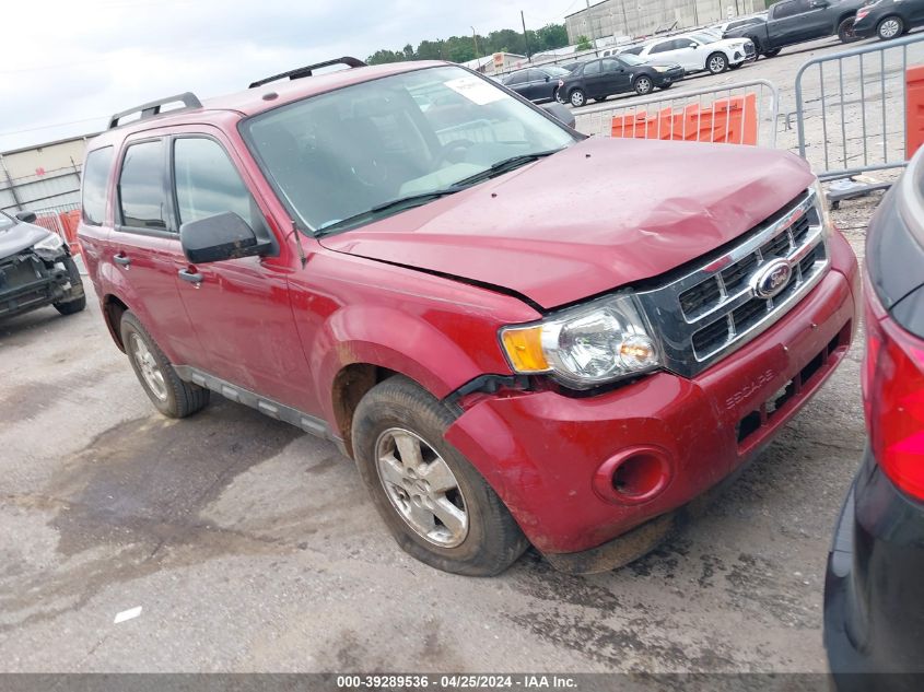 2010 FORD ESCAPE XLT