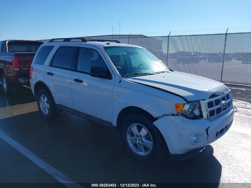 2011 FORD ESCAPE XLT