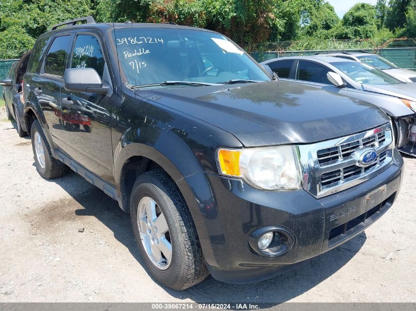 2011 FORD ESCAPE XLT