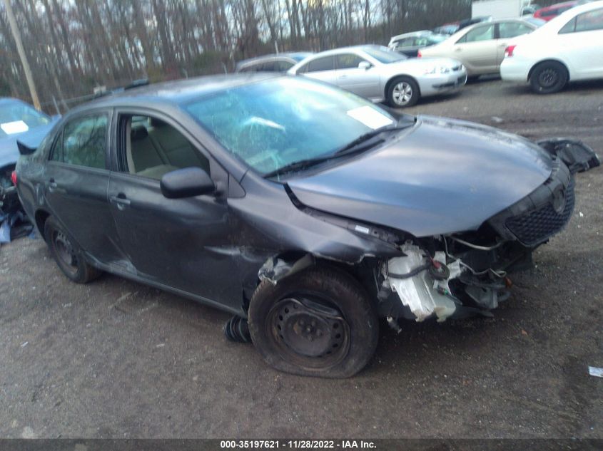 2010 TOYOTA COROLLA