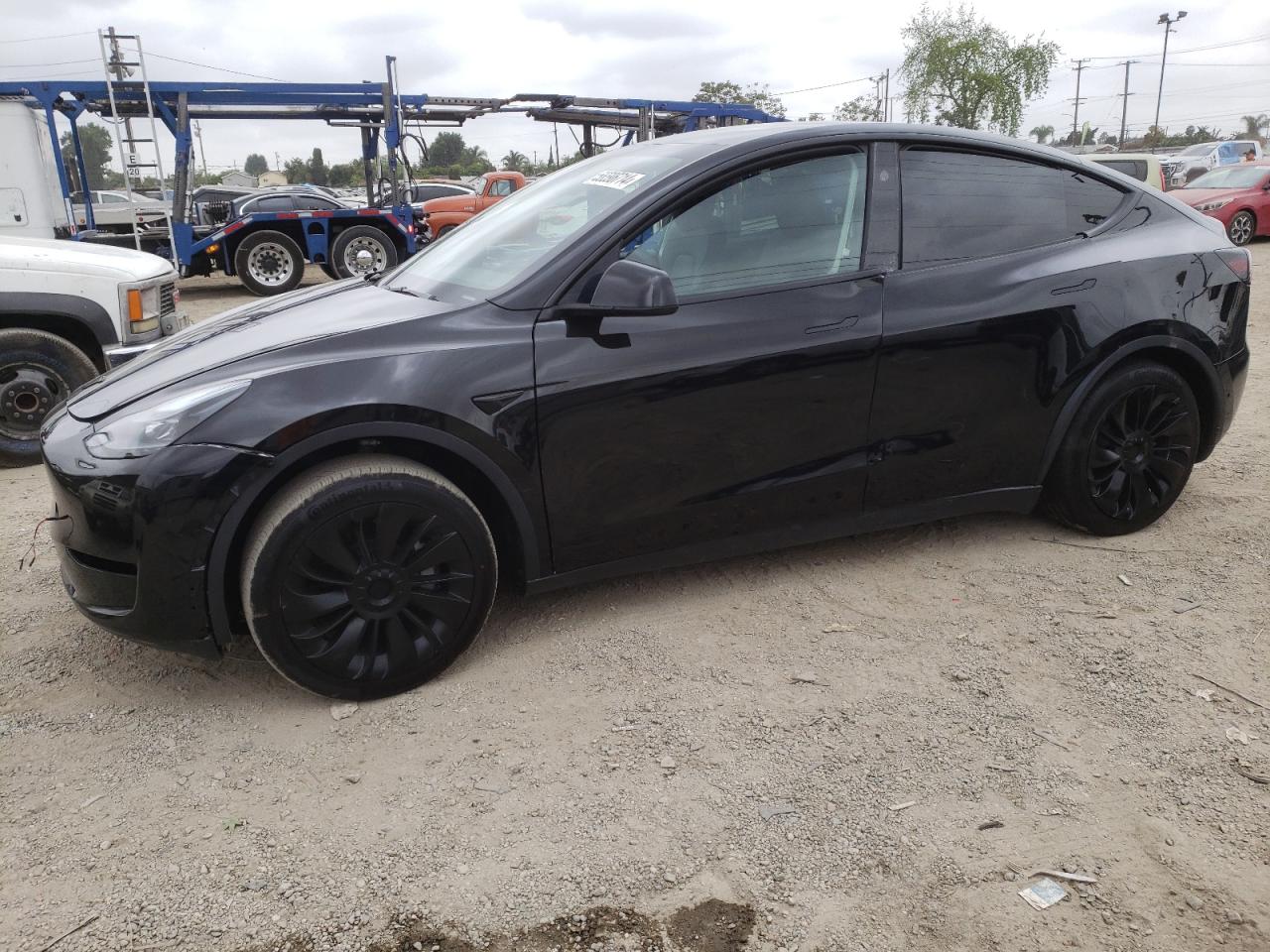 2024 TESLA MODEL Y