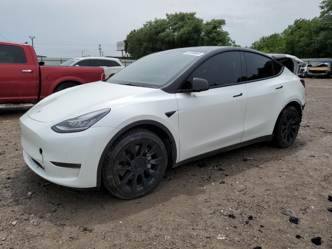 2021 TESLA MODEL Y