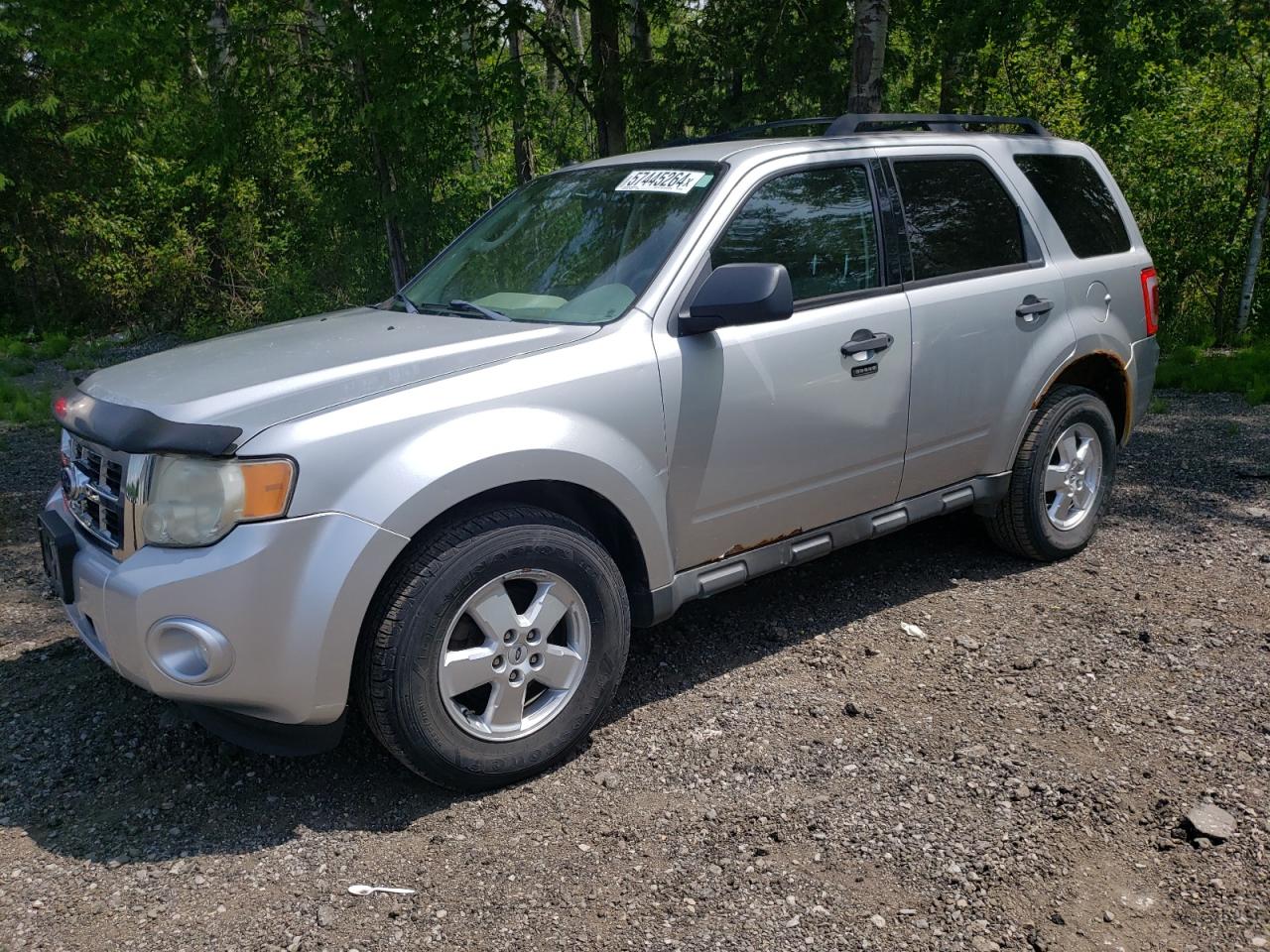 2010 FORD ESCAPE XLT