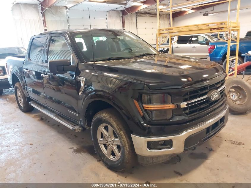 2024 FORD F150 XLT