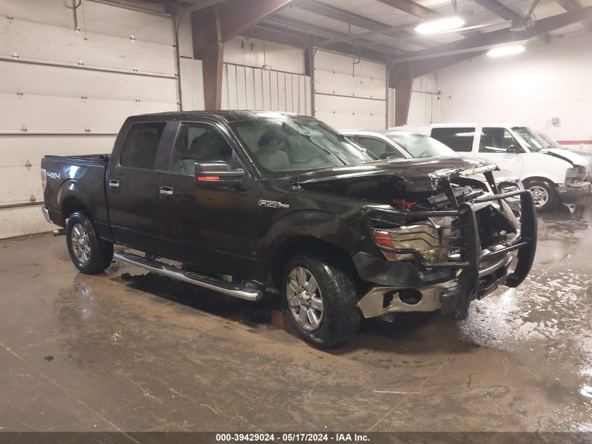 2014 FORD F-150 XLT