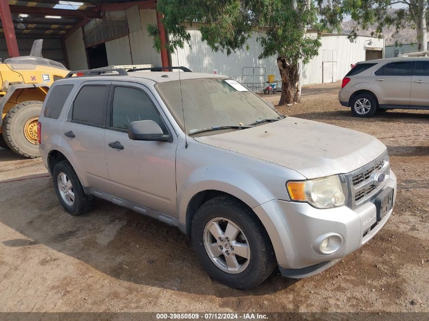 2011 FORD ESCAPE XLT