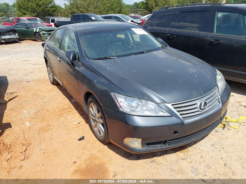 2010 LEXUS ES 350