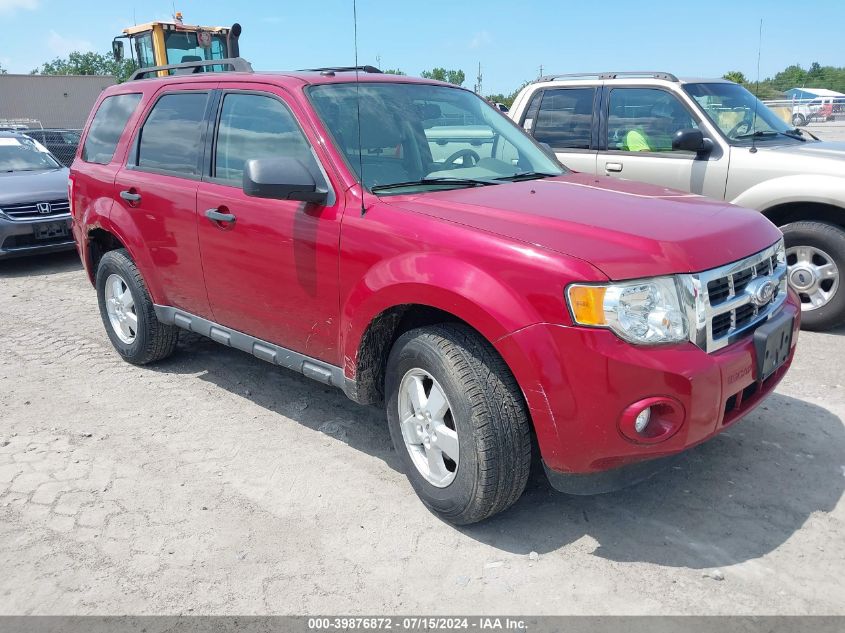 2011 FORD ESCAPE XLT